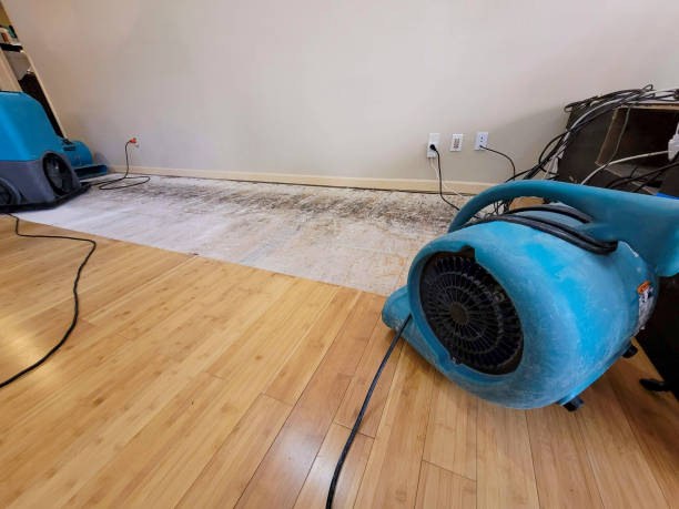 Professional Ceiling Water Damage Repair technician working in Newark, TX